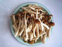 一个人的干锅茶树菇做法图解4)