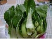 油菜炒豆腐做法图解2)
