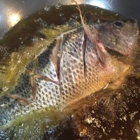 家常菜红烧福寿鱼做法图解4)