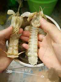 美味的白灼皮皮虾做法图解1)