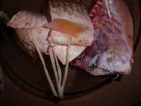 简单易做的腊鱼做法图解3)