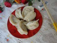 自己做的牛肉饺子