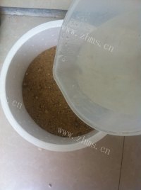 特别的沙土生豆苗做法图解4)