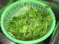 家常清炒菠菜做法图解1)