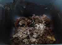自己做的牛肉松做法图解11)