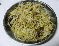 家常菜炒绿豆芽