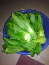 好吃的排骨炒青菜做法图解1)