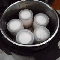 电高压锅版酸奶的做法图解五
