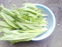 甘脆的素炒油麦菜做法图解1)