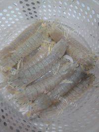自制椒盐皮皮虾做法图解1)