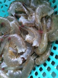 美味的椒盐基围虾做法图解1)