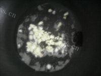 家常菜双椒玉米粒做法图解3)