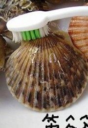 美味的蒜茸粉丝蒸扇贝做法图解1)