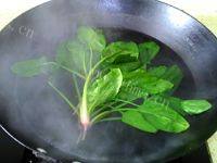易做的绿菠淡菜汤的做法图解四
