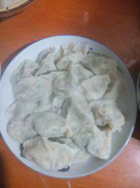 自己做的茴香猪肉饺子