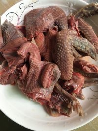 鲜嫩可口的鸽子汤做法图解1)