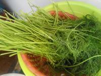 好吃的茴香饺子做法图解1)