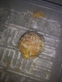 香酥鸡球做法图解11)