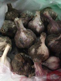 十分诱人的糖蒜做法图解1)