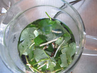 好喝的鱼腥草茶做法图解3)