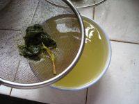 自制鱼腥草茶