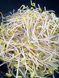 清淡的素炒豆芽做法图解2)