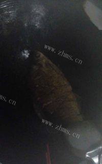 家常菜红烧鳊鱼做法图解4)