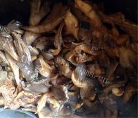 好吃的蘑菇肉做法图解3)