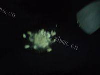 简易的腊肉炒芥兰做法图解8)