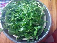 家常菜蒜香西洋菜做法图解3)