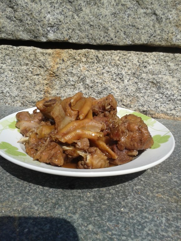 香喷喷的红烧鸭肉