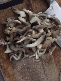 简单的炸平菇做法图解1)