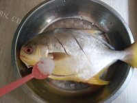 家常菜清蒸金鲳鱼做法图解2)