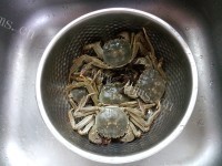 家常葱姜水煮螃蟹做法图解1)