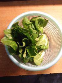 家常菜白灼青菜做法图解1)