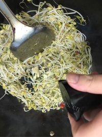 素炒绿豆芽做法图解4)