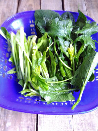 美味的凉拌菠菜做法图解3)