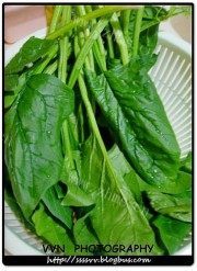 好吃不腻的蒜茸菠菜做法图解1)