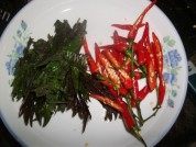 美味的香辣紫苏金钱蛋做法图解2)