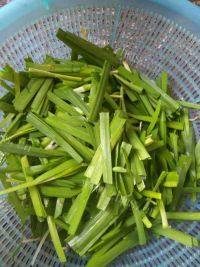 营养丰富韭菜炒豆芽做法图解2)