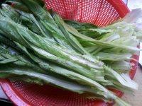 自己做的蒜蓉油麦菜做法图解1)
