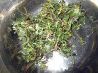 自己做的白蒿鸡蛋饼做法图解1)