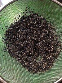 家常黑芝麻豆浆 做法图解2)