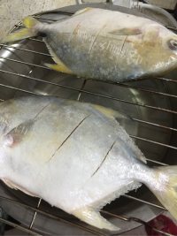咸甜适中的红烧鲳鱼做法图解1)