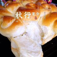 自制蜂蜜脆底小面包