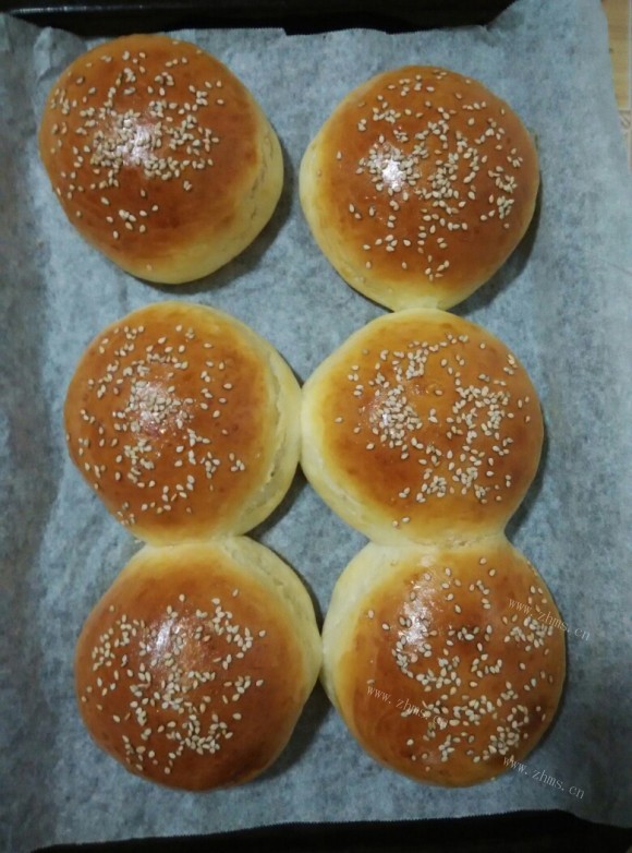 汉堡胚