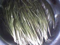 香香的韭菜炒豆干做法图解1)