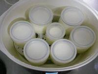 自制酸奶