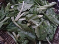 食欲满满的炝炒小白菜做法图解1)