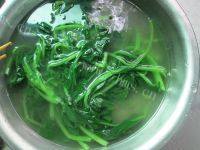 家常菜凉拌菠菜粉丝做法图解5)